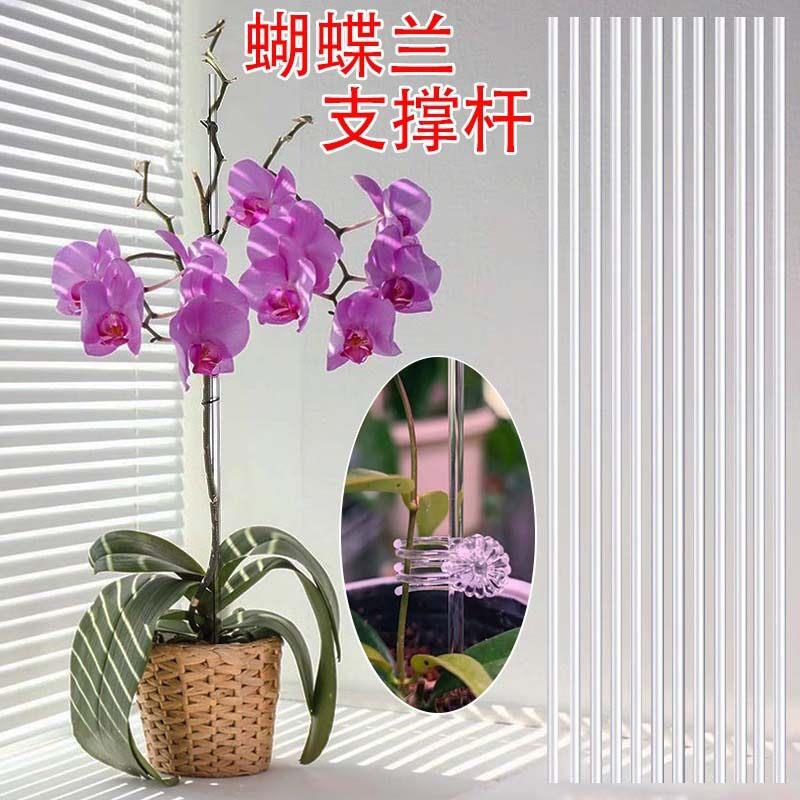 蝴蝶兰兰花透明亚克力支撑杆植物棒防倒盆栽用于藤蔓生长直立支架