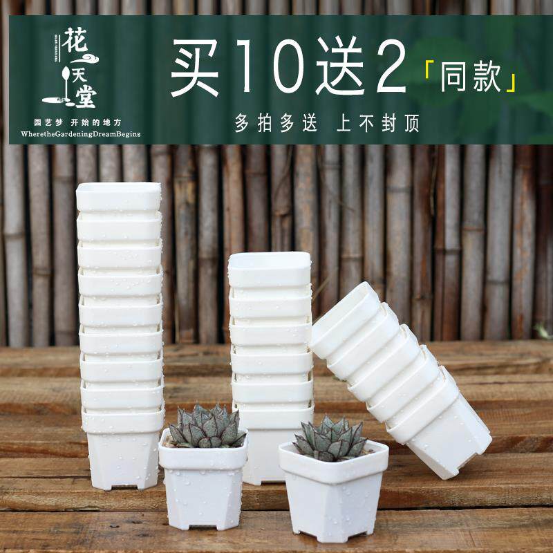 热卖升级特厚多肉花盆塑料矮方盆育苗省土迷你大小口径10送2同款