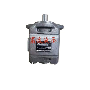 HG1 伺服油泵 CP0 10R 01R u63