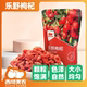 西域美农乐野枸杞250g 2袋杂质少泡水煲汤健康营养无硫熏红枸杞