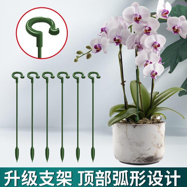 植物固定防倒伏花架子园艺支撑单杆室外花园月季爬藤种菜捆扎支架