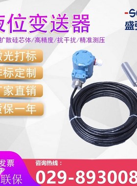 DCLT-2088液位变送G器分体投入式水位传感器