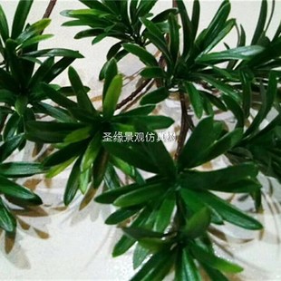 仿真罗汉松树土杉树江南柏罗汉z松枝假松树中式落地花艺摆件装饰