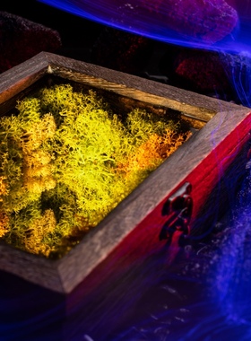 生野造物深渊苔藓无尽氛围灯x夜灯桌面摆件节S日生日礼物装饰品