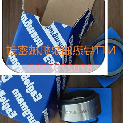 新款EILER NTT导热油泵EAGLEBURGMANN- 1.4571R/1.4401机械密封