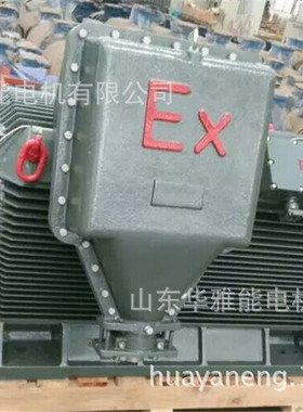 双轴YXKK450-12-355KW电机低噪音YXKK450-12-355电机