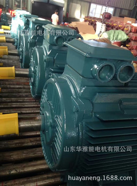 YDT-315L2-6-132电机替代佳木斯电机YDT电机防护等级IP55F级