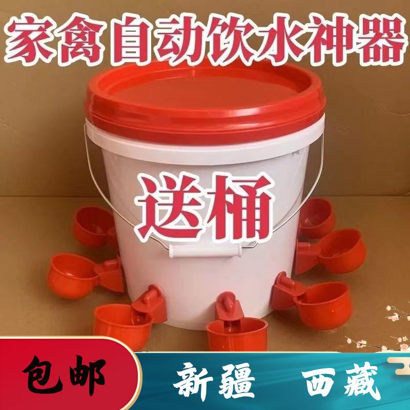 新疆西藏包邮鸡鸭鹅家禽自动喂水器养殖专用水桶鸭鹅喂鸡自动饮水
