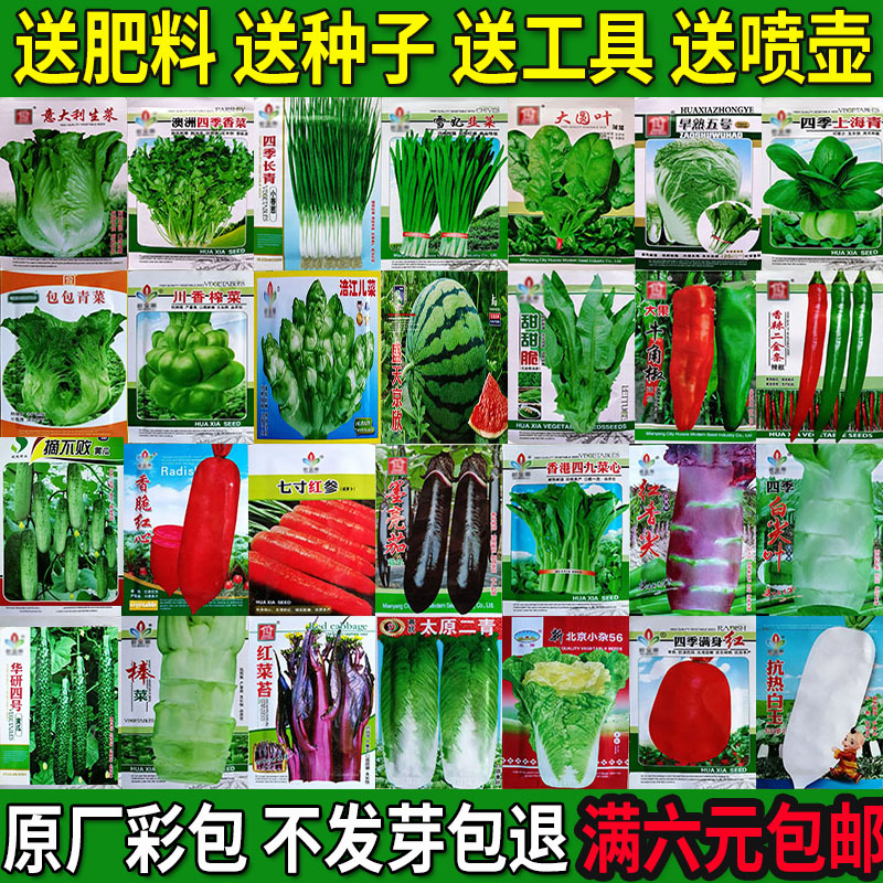 秋冬蔬菜种子大全四季播生菜香菜小葱莴笋小白菜辣椒番茄草莓孑籽