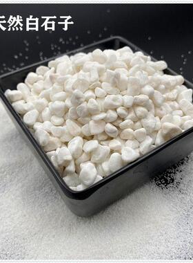 白石子雪花白多肉园艺盆栽庭院造景鱼缸装饰水池不发火白云石