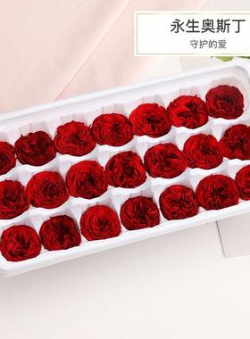 永生玫瑰干花A级奥斯丁巧克力粉色红色蓝色玫瑰花头永生花材DIY
