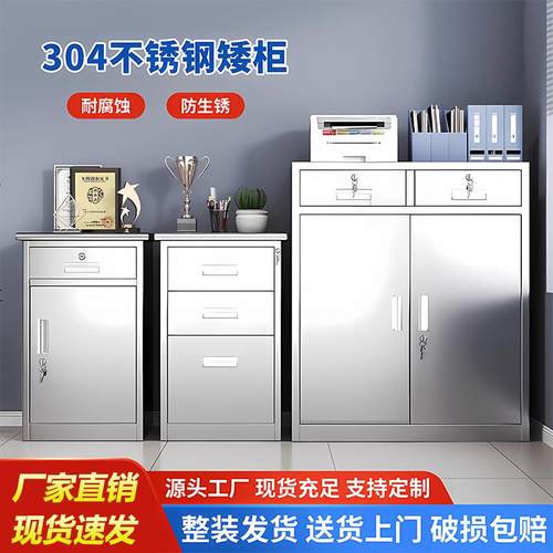 实验室活动矮柜金属一抽一门矮柜地下室防锈储物柜不锈钢单门柜