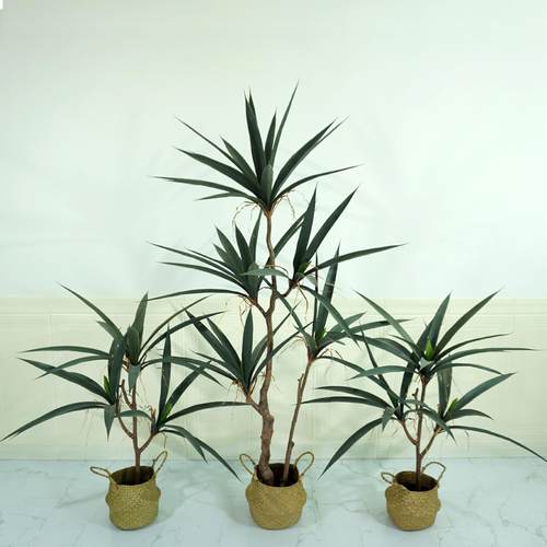 仿真绿植盆栽剑麻大叶剑兰橱窗绿色植物造景盆栽景观设计装饰摆件