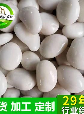 南京白色鹅卵石白色卵石子精品白色雨花石铺面石南京精品雨花石头