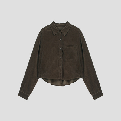 高级感复古咖色条绒短外套秋季