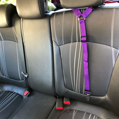 极速Solid Two-in-one qPet Car Seat Belt  Lead Leash BackSeat