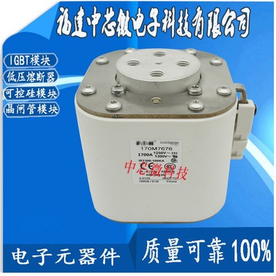 170M7608 170M7622 170M7633 170M7636 170M7639熔断器-保险丝
