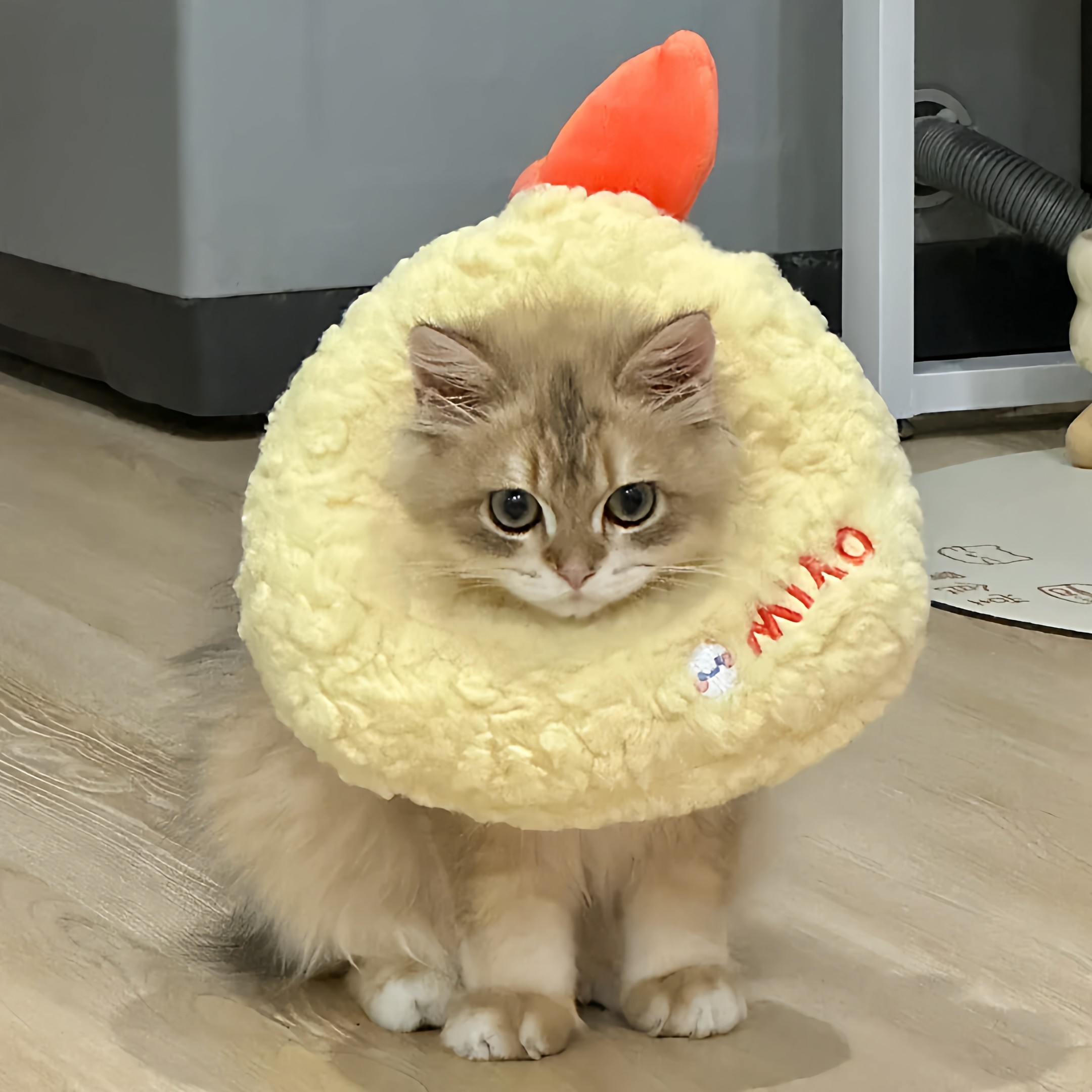 天妇罗宠物伊丽莎白圈猫咪围脖防舔咬耻辱圈绝育头套饰品宠物用品,宠物/宠物食品及用品,宠物伊丽莎白圈,淘宝优惠券,粉丝福利购,淘宝优惠卷