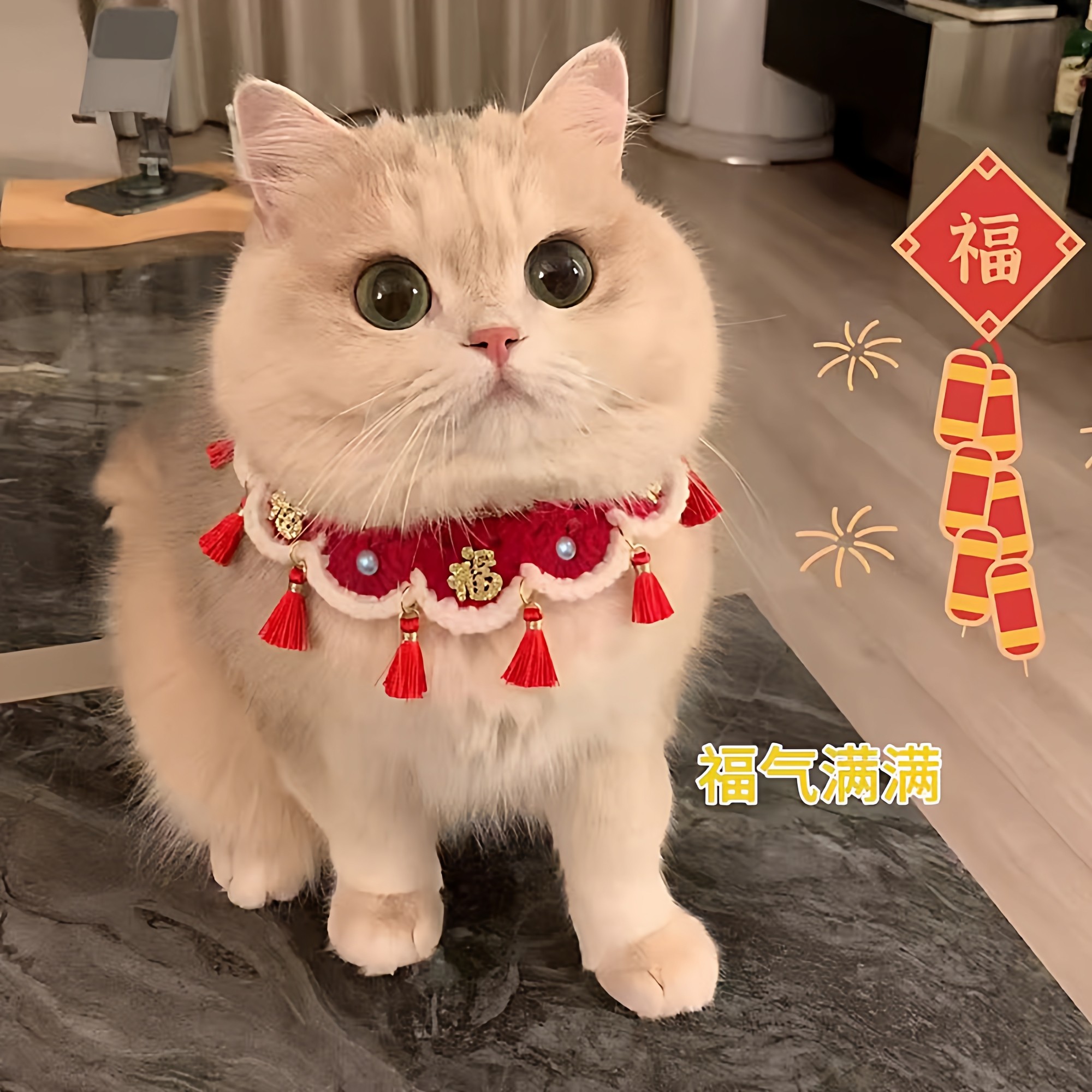 猫咪围脖新年福字口水巾宠物围巾小配饰猫咪围兜狗狗围脖过年装扮,宠物/宠物食品及用品,项圈/肩带,淘宝优惠券,粉丝福利购,淘宝优惠卷