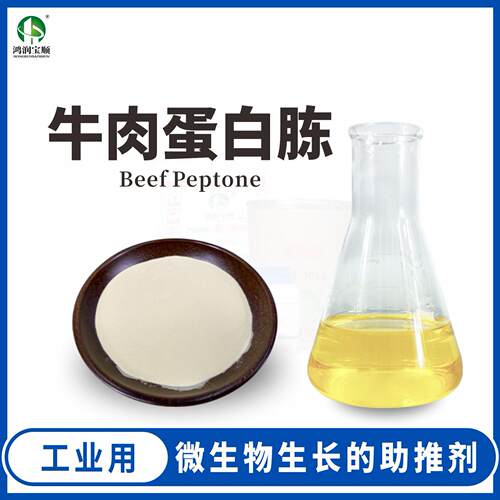 鸿润宝顺牛肉蛋白胨动物氮源现货
