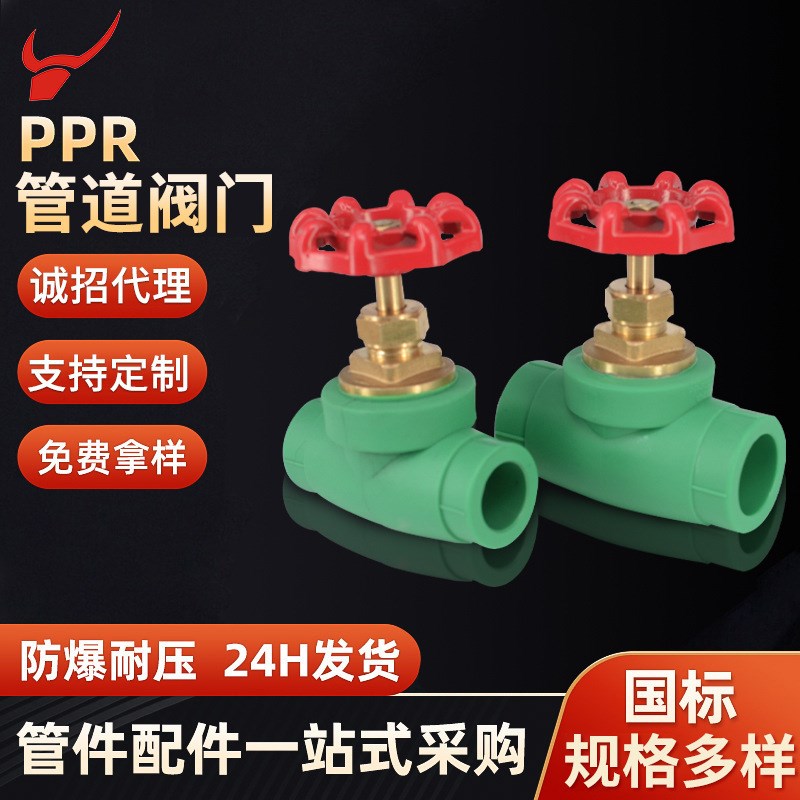 PPR闸阀 截止阀PPR管道阀门 五金配件 球阀开关PPR 闸阀灰色