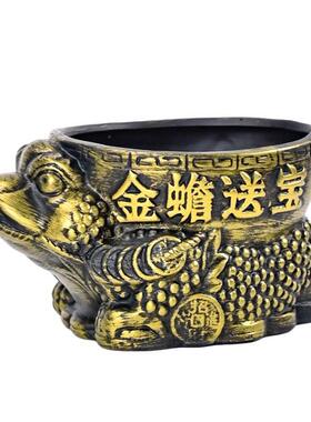青铜金蟾蜍造型陶瓷中国卡通花盆室内摇钱树绿色植物花盆容器办公