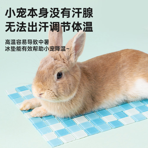 快速发货a兔子降温用品夏天散热板冰垫仓鼠刺猬水晶凉席冰床金丝