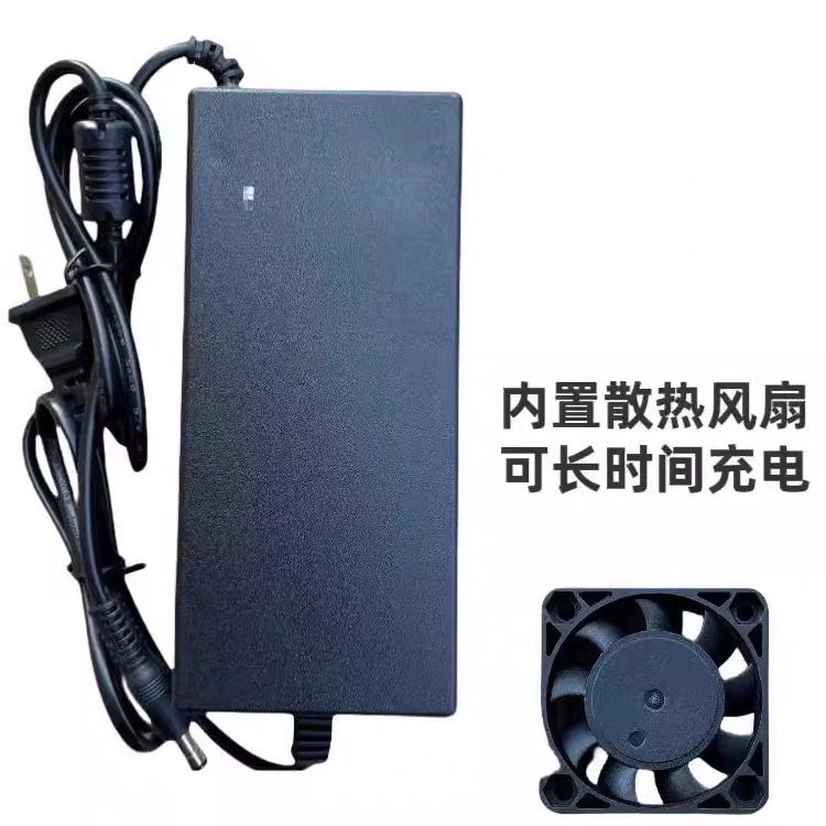 12V锂电瓶充电器12.6V5A6A8A10a锂电池充电机三串聚合物锂电池组