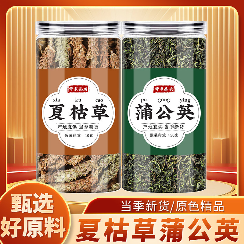 蒲公英和夏枯草中药材郁金猫爪草