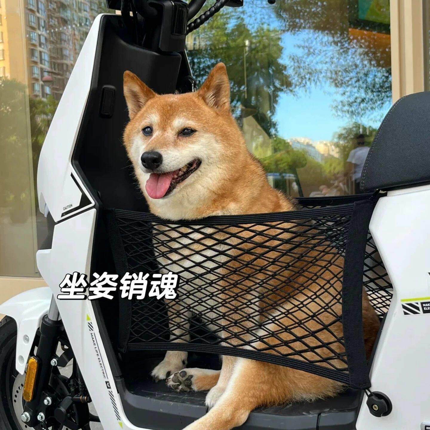 电动车宠物外出筐前置踏板收纳储物中大型犬狗狗防掉宠物出门神器