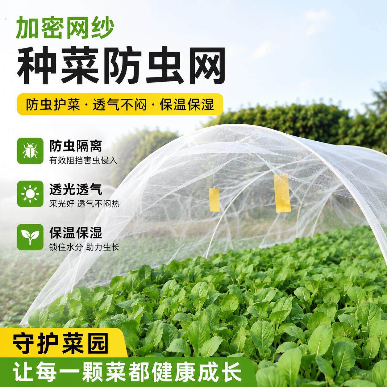 防虫网种菜专用抗老化100目防虫网大棚纱网果树防蚊网罩防蚊虫网