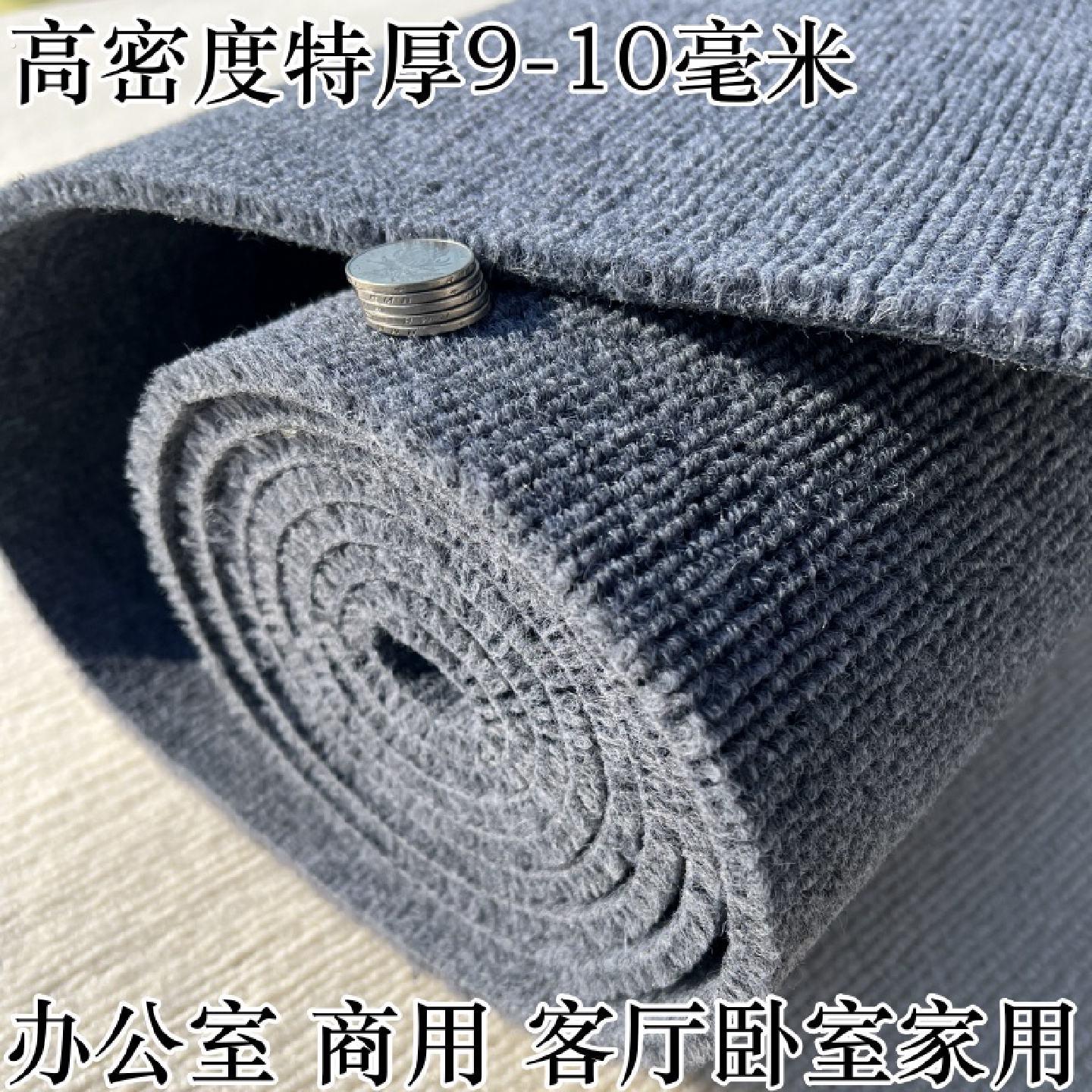 地毯卧室客厅大面积自由裁剪加厚全铺家用室内商用办公室地垫满铺