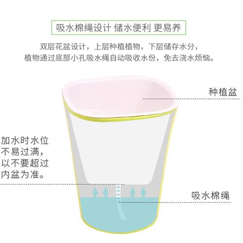 智利水苔通用型液体肥营养液食虫植物专用土捕蝇草吸水花盆营养土