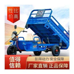 电动三轮车本铃货运拉p货快递爬坡山区农用摆摊货加强载重王工厂