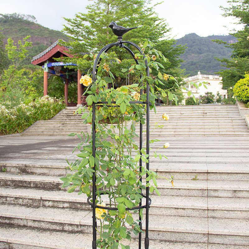 小鸟款花架爬藤架月季玫瑰铁线莲蔷薇攀爬支架阳台室外庭院户外