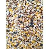 50斤观赏鸽玉米战鸽鸽子粮鸟食赛信鸽有肉鸽幼鸽成鸽粮19省 包邮