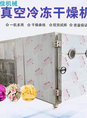青豌豆真空空干机 大枣真冷冻干燥机 蚕冻豆蛹低温冻干机