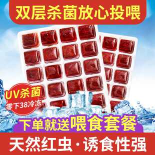 冰冻红虫鱼食丰年虾牛心汉堡幼鱼饲料红线虫罗汉鱼粮七彩神仙鱼食