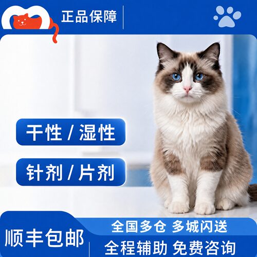 猫咪针剂油水剂喵咪干湿性腹口服片剂营养液抑制剂