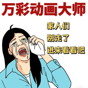 万彩动画大师企业版会员服务私人订制服务代做