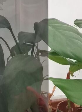 外贴隔热膜VS-HS25单向透视玻璃贴纸深灰色建筑隔热贴膜