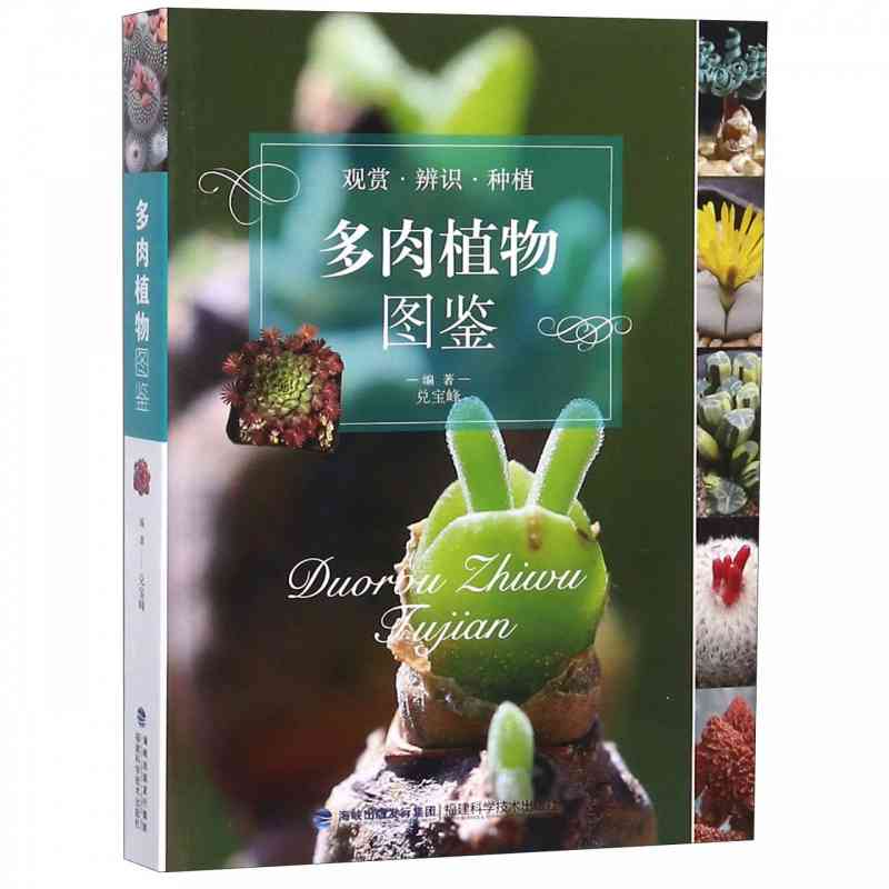 本版中文 多肉植物图鉴 多肉种植多肉养殖书籍 养护植物组合盆栽制作栽培技术 新手养多肉 养花卉盆栽培技巧书