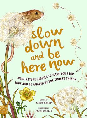 进口英文原版 Slow Down and Be Here Now 当小脚慢下来 享受当下 Freya Hartas 插画绘本  在这里慢下来 大自然动植物书精装现货