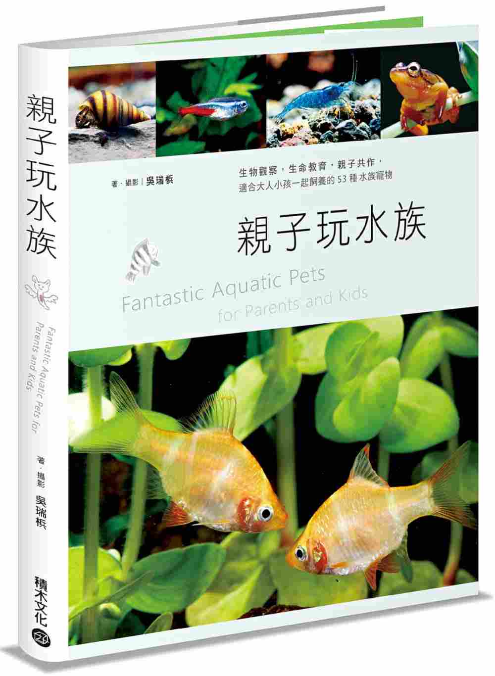 进口港台原版 现货 亲子玩水族:生物观察、生命教育,适合大人小孩一同饲养的53种美丽多样水族宠物
