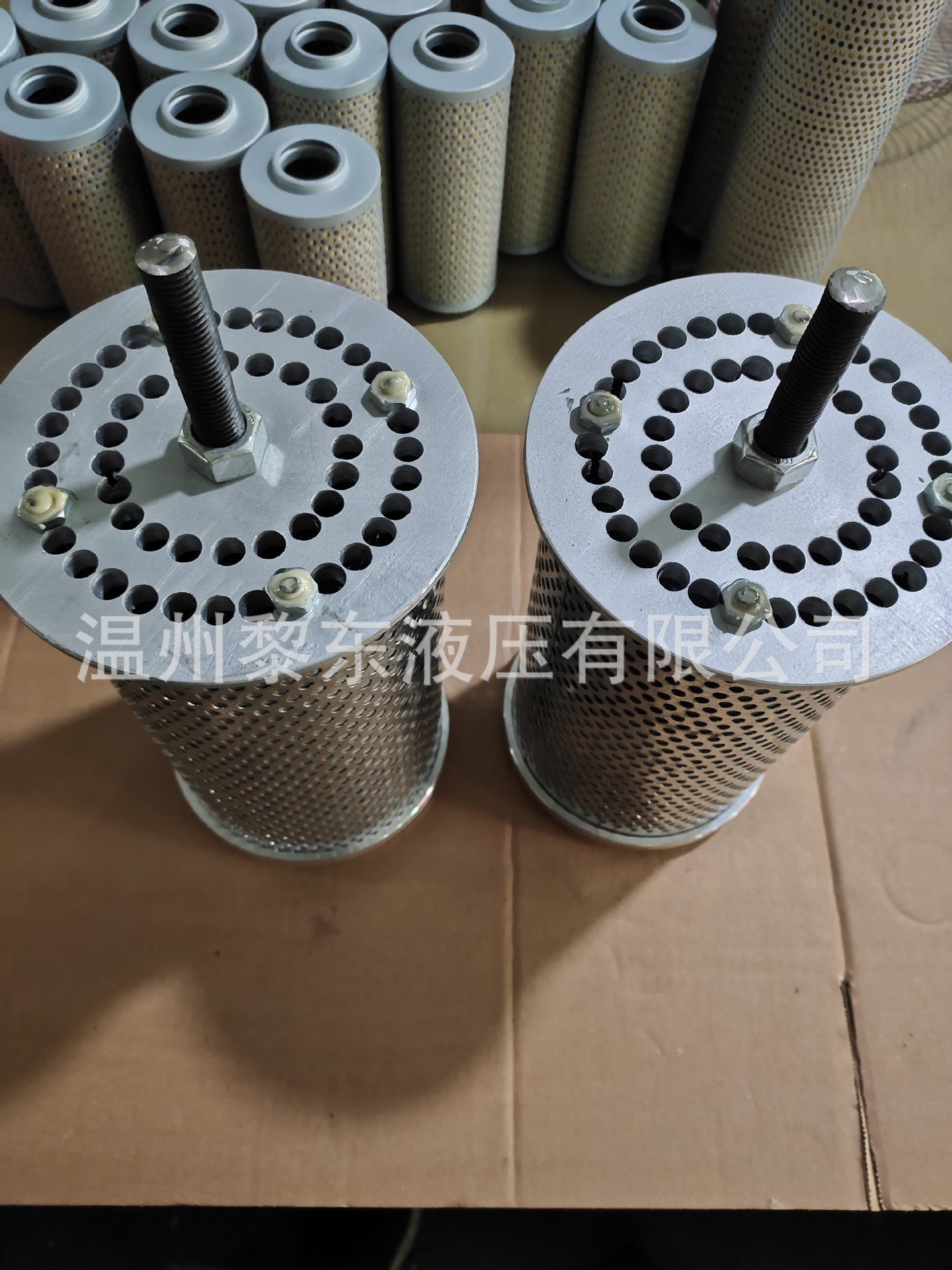 MAHLE PI23063RNSMX10润滑站 稀油站磁性滤芯T20-010P-B