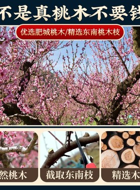 新品桃木十二生肖鼠牛虎兔龙蛇马羊猴F鸡狗猪实木属相摆件木雕手