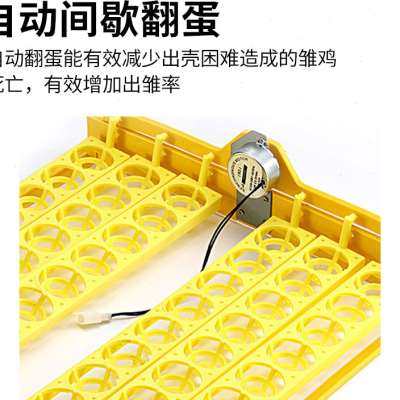 孵化器全自动小型家用智能孵化z箱自动翻蛋小鸡鸭鹅鸟蛋恒温孵蛋