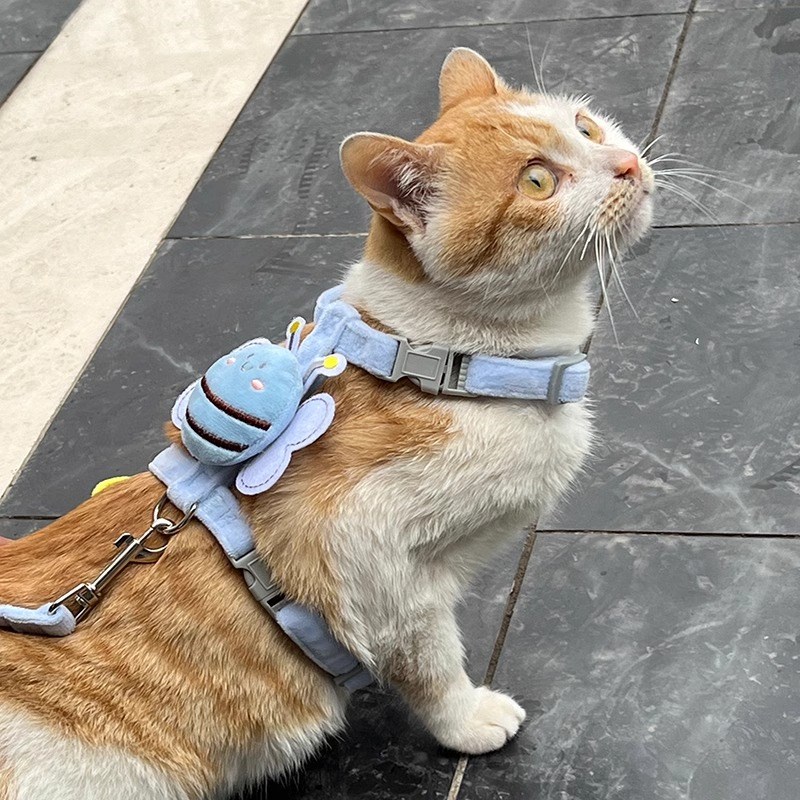 极速宠物猫咪牵引防挣脱绳v胸背带小型犬外出遛狗狗背心式泰迪比