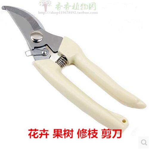 极速园艺用具 修剪n花木 果树 花卉 修枝剪刀 园艺工具 花剪