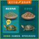 极速巴龟西e龟粮乌龟饲料专红耳用龟彩龟小幼龟通用龟食半水龟食